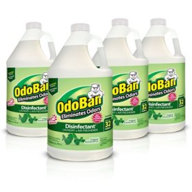 OdoBan Odor Eliminator and Disinfectant Concentrate, 4 pk. (Choose Your Scent)