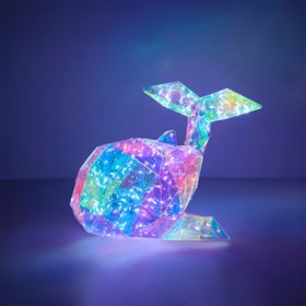 Kids Prismatic Lamps, Assorted Styles