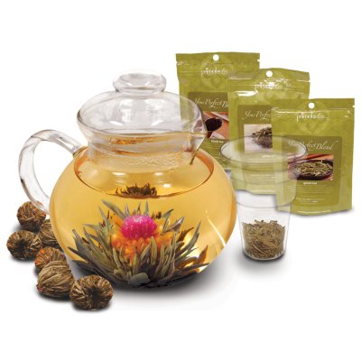 Primula (12) Assorted Green Tea Flowers & Teapot Set 