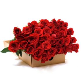 Member's Mark 50cm Roses, Red (200 stems)