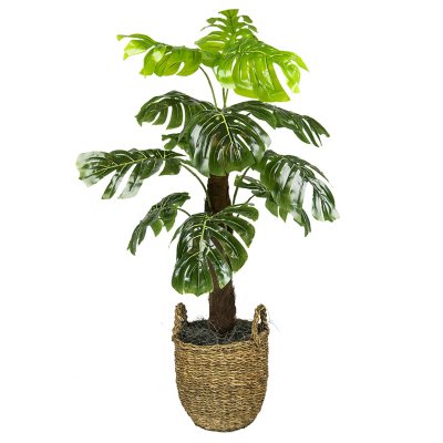 Faux 4' Monstera Floor Plant - Sam's Club