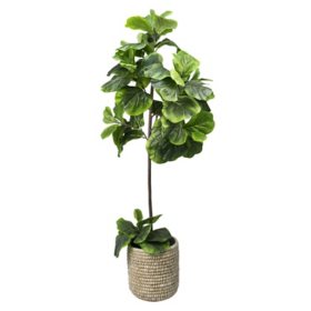 Faux 60" Fig Floor Plant in Roped Basket