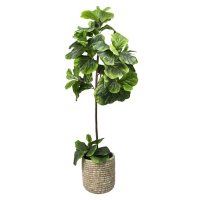 Faux 5' Fig Floor Plant
