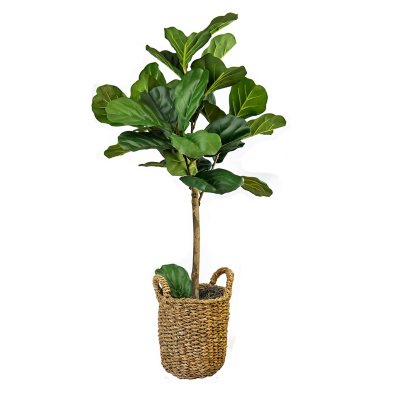 Faux 30" Fig Tree in Basket