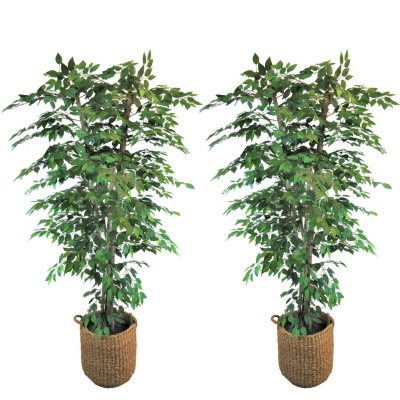 2/4pcs 41.7 Tallos De Ficus Artificial Tallos Verdes Falsos - Temu