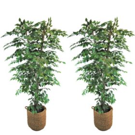 Faux 90" Ficus Tree in Handwoven Basket, 2pk