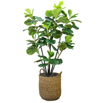 Faux 5.6′ Fiddle Leaf Fig Tree