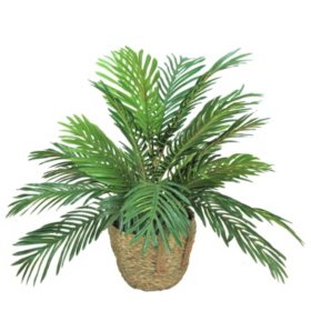 Faux 24" Phoenix Palm in Boho-Style Handled Handwoven Basket