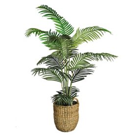 Faux 60" Areca Palm in Boho-Style Handled Basket