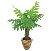 Faux 40" Philo Plant in Natural Urn-Style Handwoven Basket