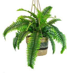 Faux 30" Boston Fern in Hanging Handwoven Basket