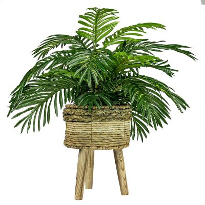 Photos - Other interior and decor Faux 32' Phoenix Palm in Tri-Colored Tripod Basket Stand 20G27