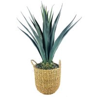Faux Agave 42" (Assorted Colors)