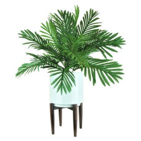 Faux 32" Phoenix Palm in White Ceramic Stand