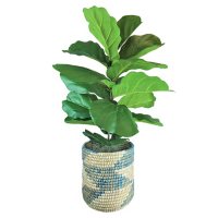 48" Faux Deluxe Fig Bush in Blue and Cream Basket	