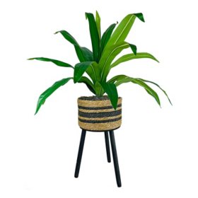 Assorted Artificial Plants in Handwoven TriPod Stands