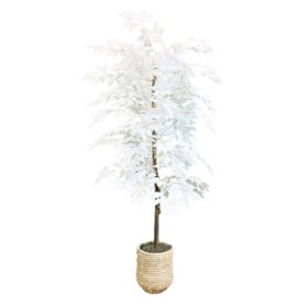 Faux 72" White Ficus in White Handwoven Basket