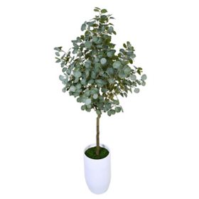 Faux 6' Boxed Eucalyptus Tree in White Ceramic Planter