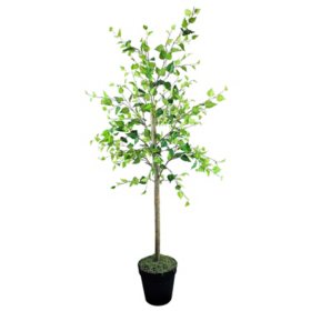 Faux 72" Birch Tree in Growers Pot