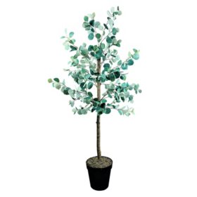 Faux 72" Eucalyptus Tree in Growers Pot