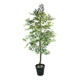 Faux 72" Olive Tree in Black Plastic Pot