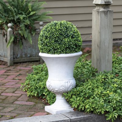 https://scene7.samsclub.com/is/image/samsclub/0074416295992_E?$DT_PDP_BB$