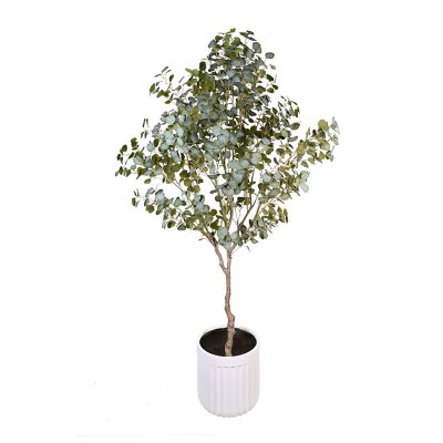 Faux 8' Eucalyptus Tree in Oversized Ceramic Pot - Sam's Club Faux 8' Eucalyptus Tree in Oversized Ceramic Pot - Sam's Club