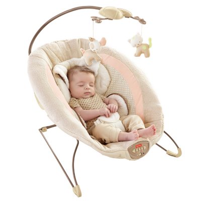 My Little Snugapuppy Fisher-Price Deluxe Bouncer 