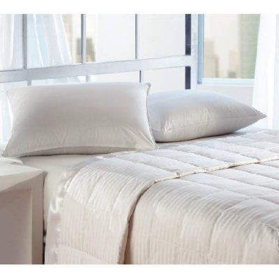 Hotel 300TC Down Blanket Queen White Sam s Club