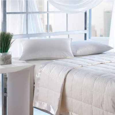 Hotel® Hypoallergenic Down Alternative Blanket Sam's Club