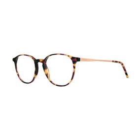 Moleskine Round Frames Glasses, Brown MO110350 72