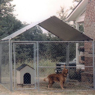 Sams club shop dog kennel