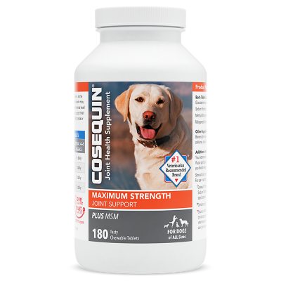 Msm joint supplement for sales dogs