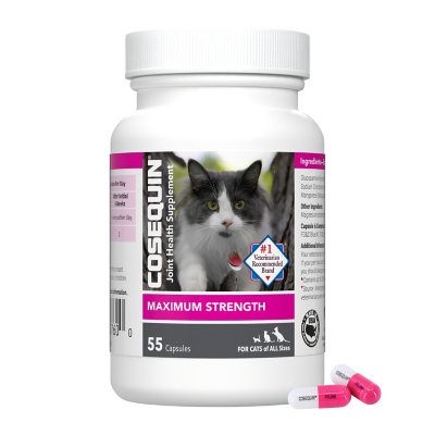 Liquid cosequin for cats best sale