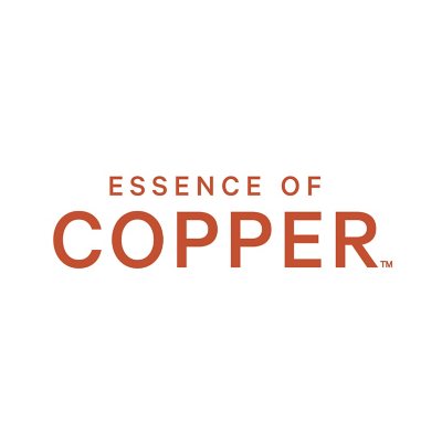 Essence of Copper Bed Pillows (2-pack) - Sam's Club