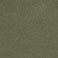 Olive, variant on Express Women's Ponte Pant