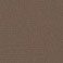 Brown, variant on Eddie Bauer Men's Tech Shorts