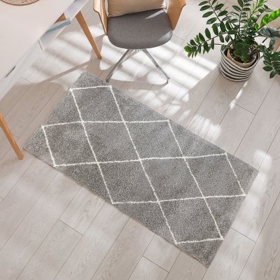 Thayer Shag Rug, 2'7