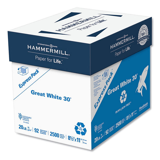 Hammermill - Great White Recycled Copy Paper, 92 Brightness, 20lb, 8-1/2 x 11 -  2500 Shts/Ctn