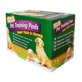 Miracle Absorb Pet Training Pads, Large 75 ct.