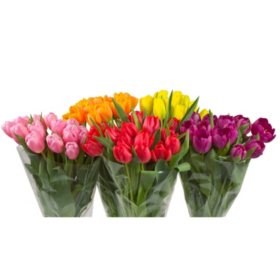Tulips, 15 stems (variety and colors may vary)