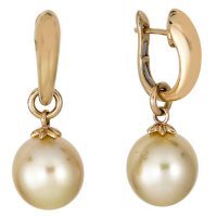 Cultured Golden South Sea Pearl Earrings in 14K Yellow Gold