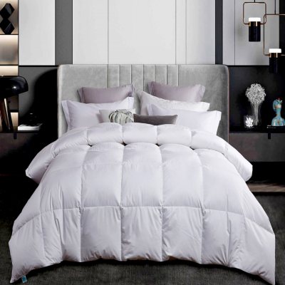 Martha Stewart 300 Thread Count White Down Comforter- Twin