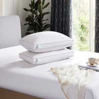 Martha Stewart 240 Thread Count White Feather and Down Pillow (2-pack)