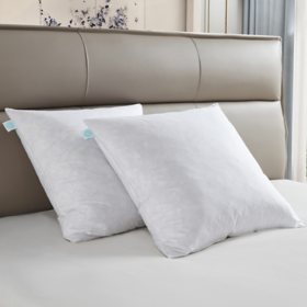 Martha Stewart Deco 20" x 20" Square Feather Pillow Insert, 2 Pack