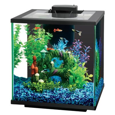 Island 7.5-Gallon Glass Aquarium Kit - Sam's Club