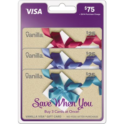 Visa $25 Gift Card (plus $3.95 Purchase Fee)