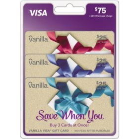 Vanilla Visa Gift Card $75 Gift Card Multi-Pack – 3 x $25
