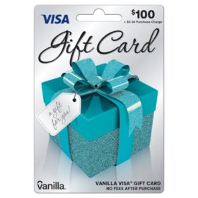 Vanilla Visa $100 Gift Card