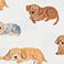 Napping Puppies , variant on Angel Dear Baby Boys 2-Way Zipper Footie